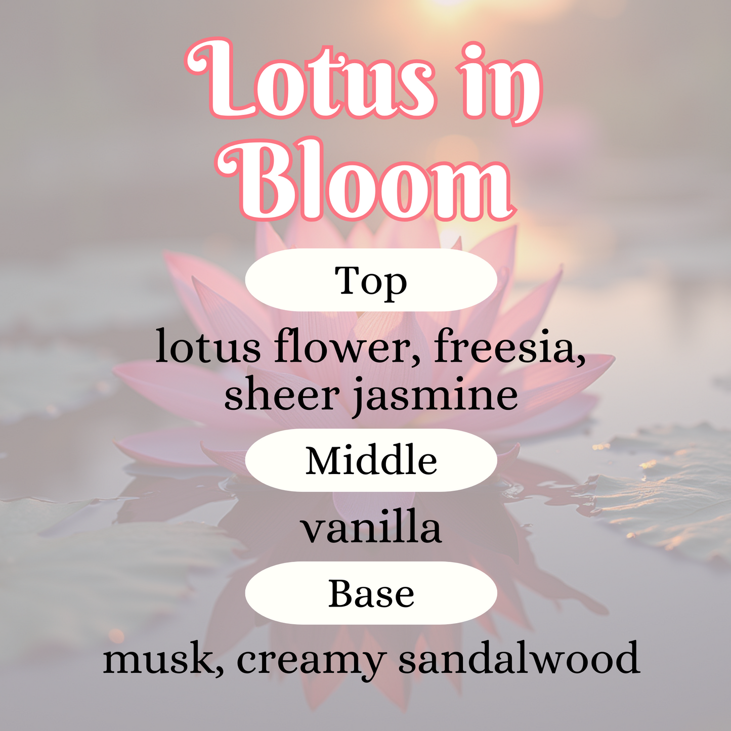 Lotus in Bloom