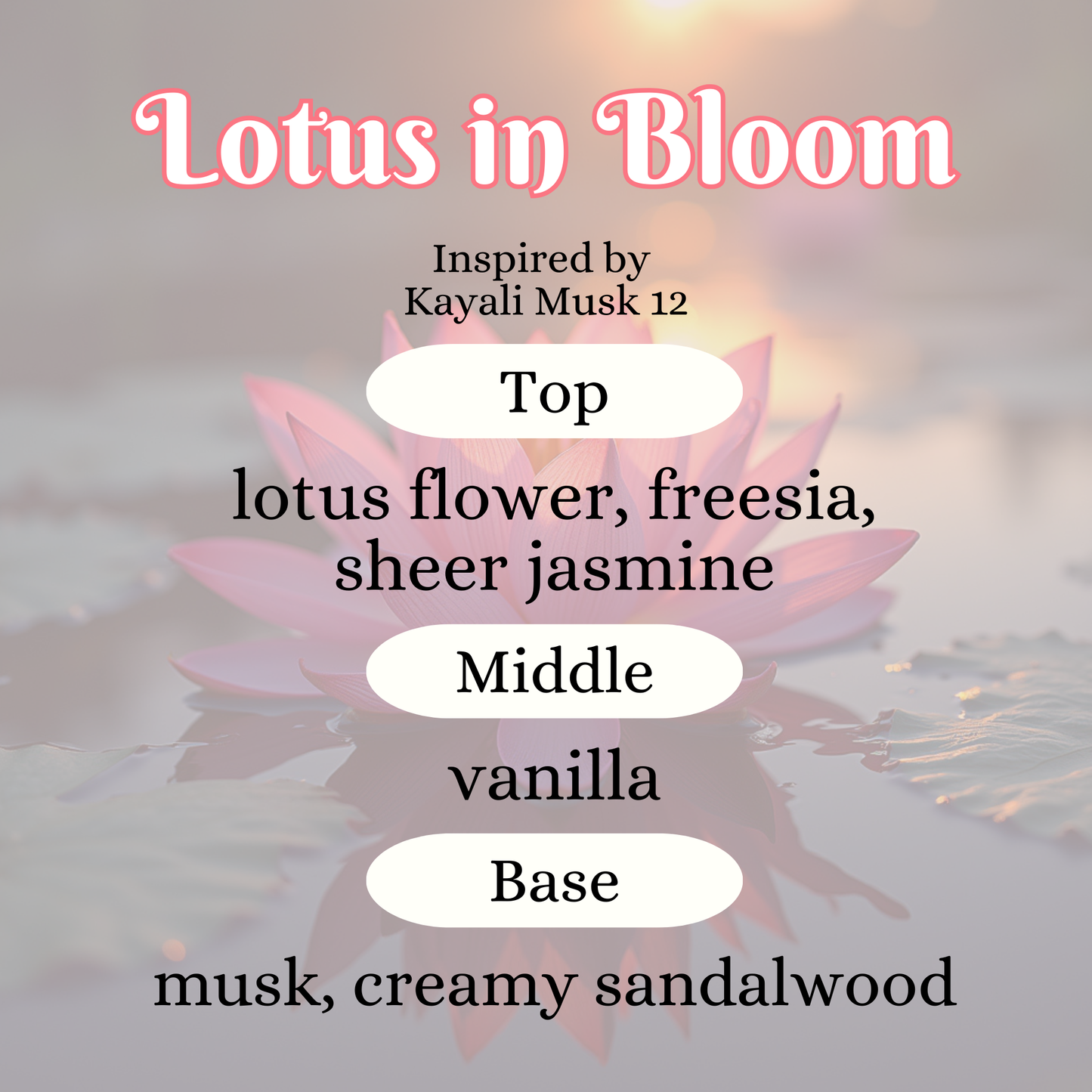 Lotus in Bloom