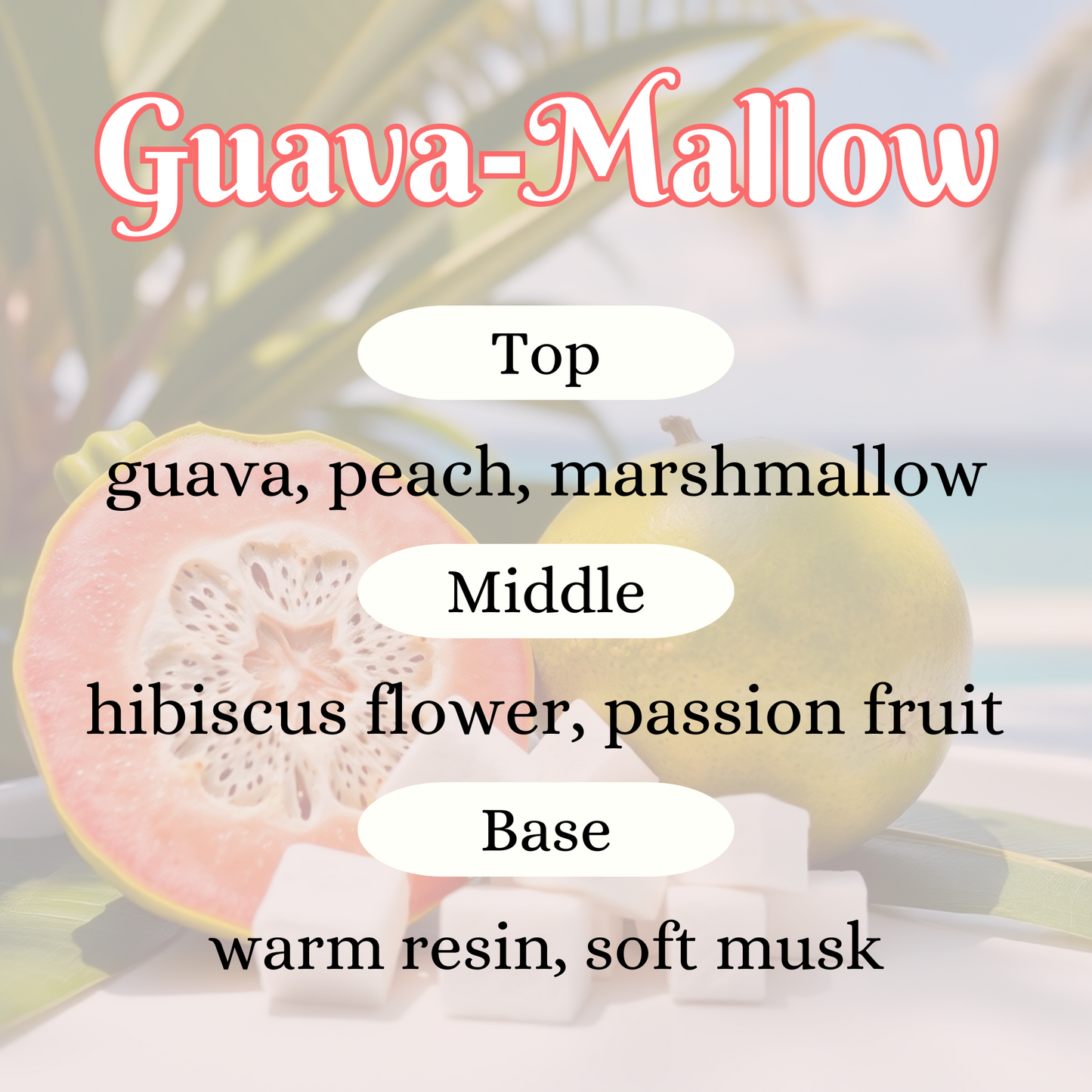 Guava-Mallow