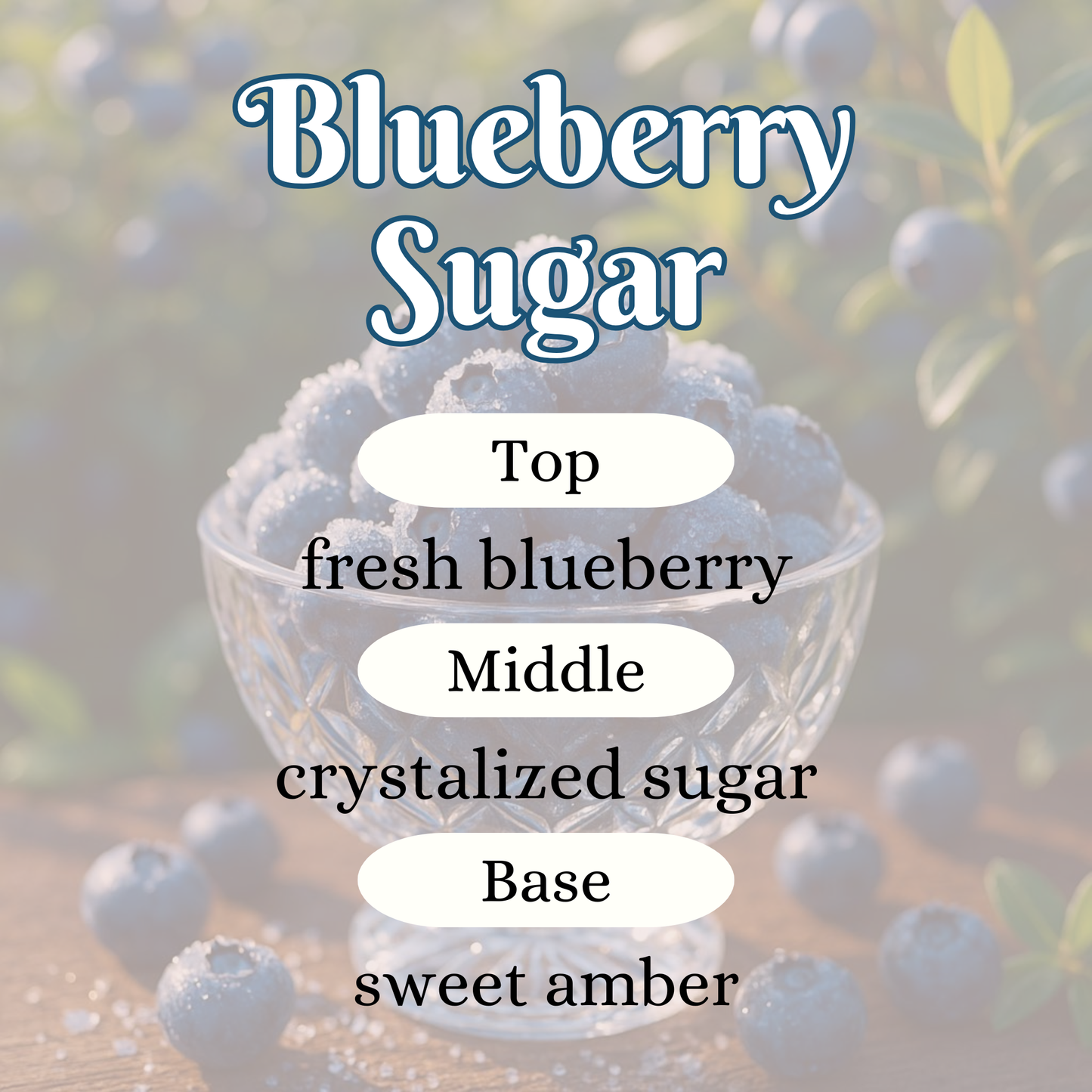 Blueberry Sugar