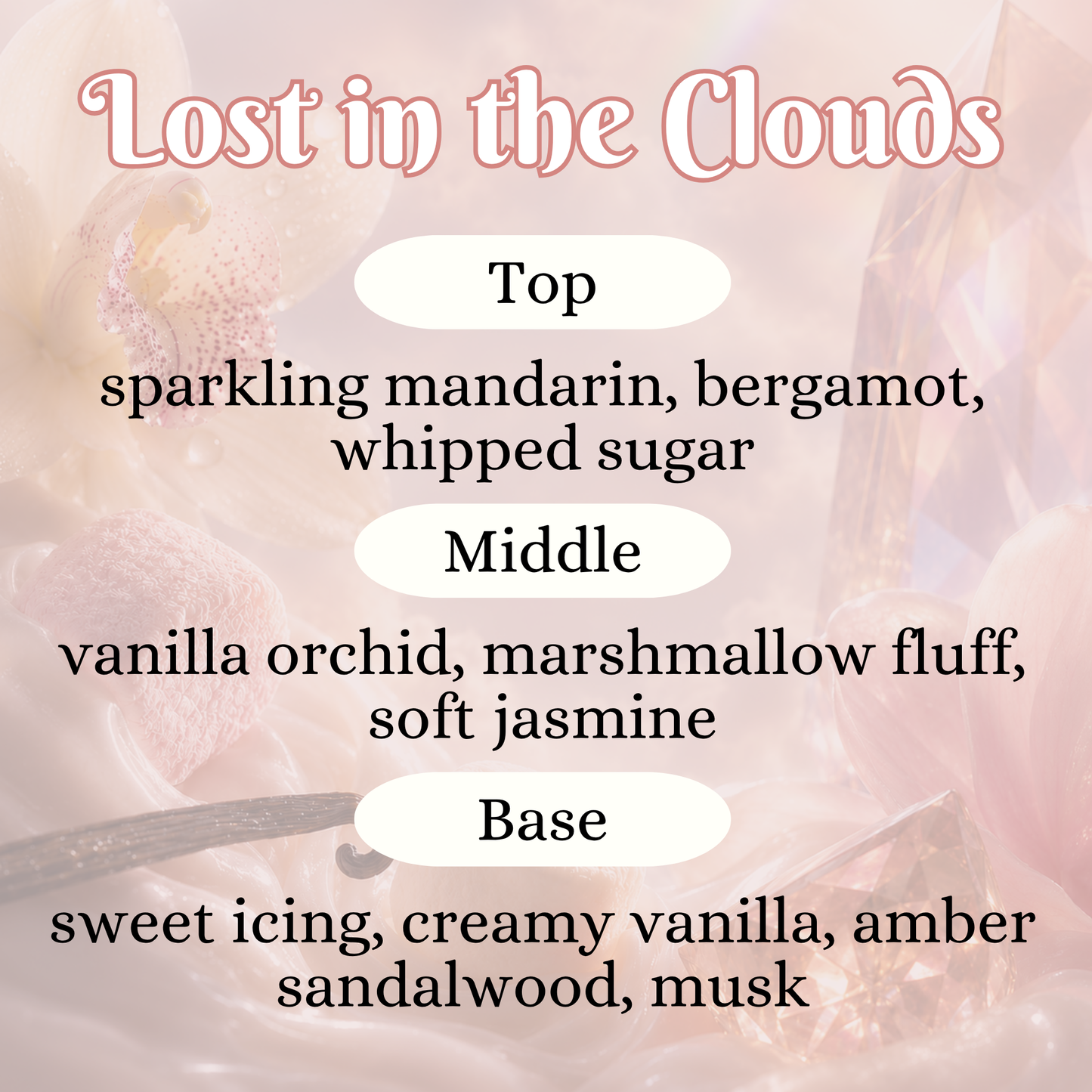Lost in the Clouds