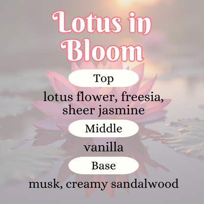 Lotus in Bloom