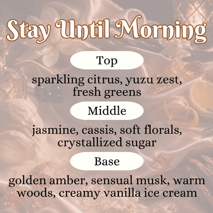 Stay Until Morning