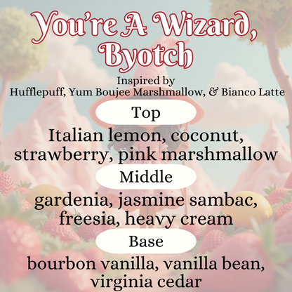 3oz All Purpose Cleaner Concentrate (NO SPRAY BOTTLE)