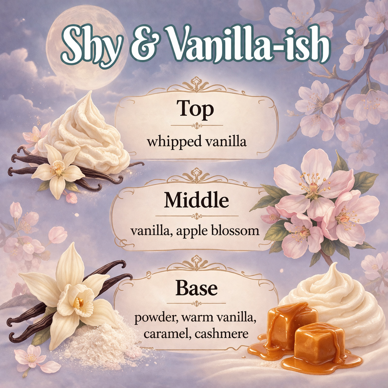 Shy & Vanilla-ish